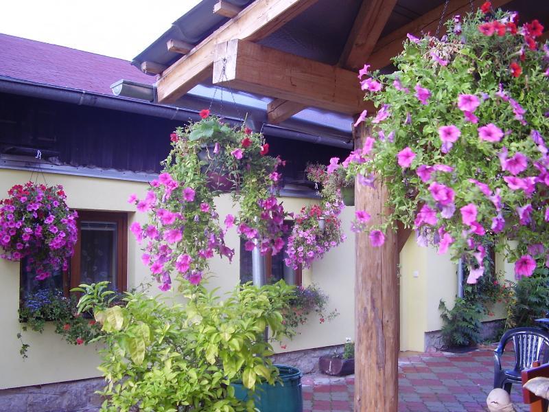 Penzion Many Peny Jindrichuv Hradec Εξωτερικό φωτογραφία