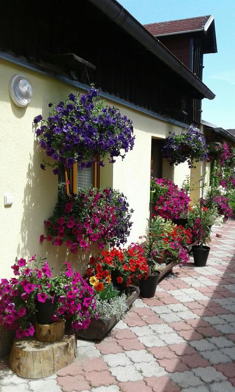 Penzion Many Peny Jindrichuv Hradec Εξωτερικό φωτογραφία